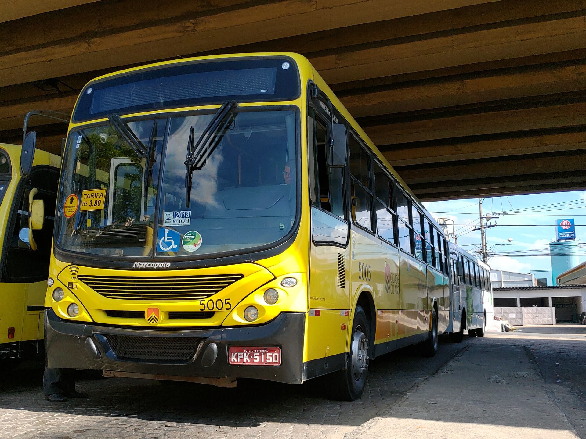 Ônibus