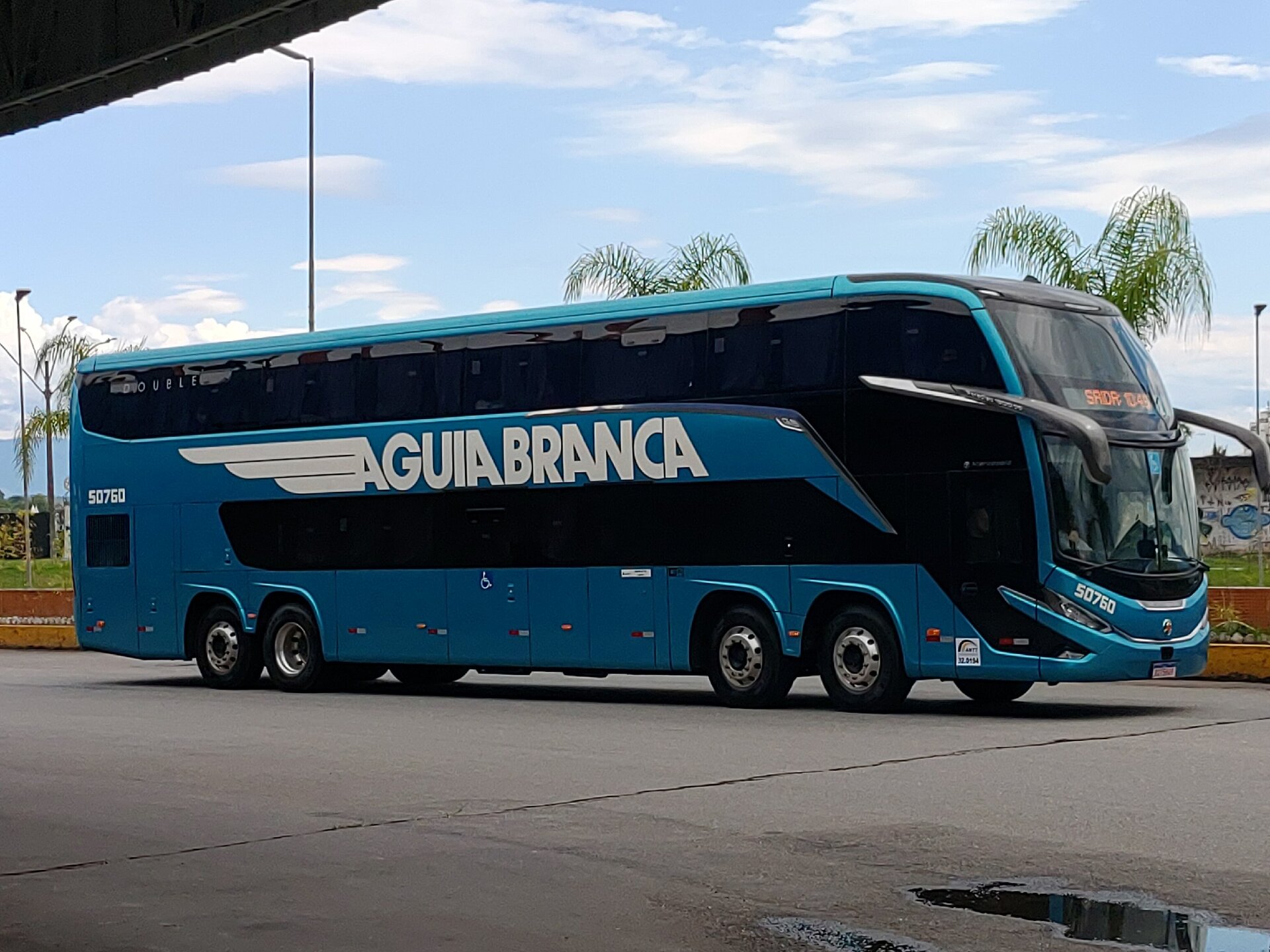 Ônibus