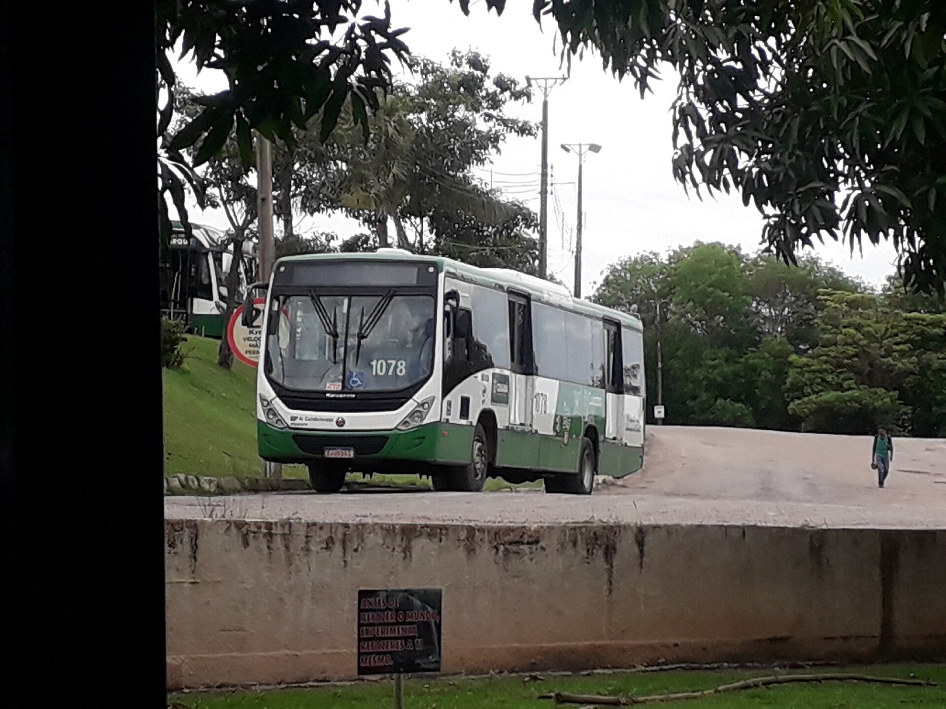 Ônibus